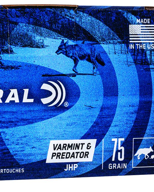 Federal AE24375VP American Eagle Varmint & Predator 243Win 75gr Jacketed Hollow Point 40 Per Box/5 Case