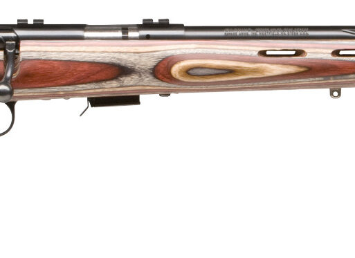SAV 93BRJ 22M BA B 5RD DBM LAM
