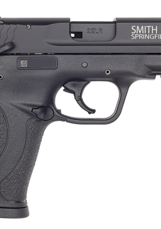 Smith & Wesson 108390 M&P 22  Compact Frame 22 LR 10+1, 3.60" Black Steel Barrel, Black Hard Coat Anodized Serrated Slide, Black Polymer Frame w/Picatinny Rail Frame & Grip, Ambidextrous, Thumb Safety