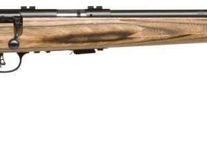 SAV 93R17-BV 17HMR B