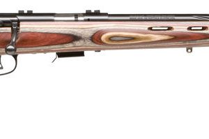 SAV 93R17-BRJ 17HMR BA FB B