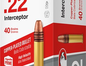 AGUILA INTERCEPTOR 22LR 40GR - LEAD-RN 1000RD CASE LOT