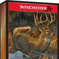 WINCHESTER COPPER IMPACT 300 - WIN MAG 150GR 20RD 10BX/CS