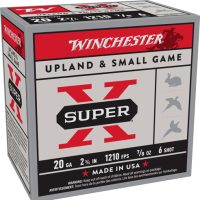 WINCHESTER SUPER-X 20GA 2.75" - 7/8OZ #6 1210FPS 250RD CASE