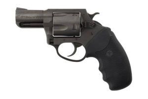 CHARTER ARMS CHARTER PITBULL 40SW NIT 2" FS