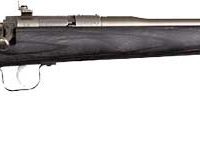 CHIPMUNK RIFLE 22LR - STAINLESS/BLACK LAMINATE