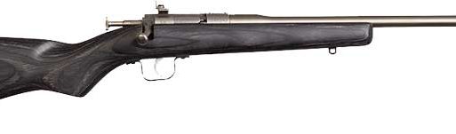 CHIPMUNK RIFLE 22LR - STAINLESS/BLACK LAMINATE
