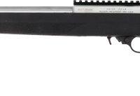 RUGER 10/22 22LR BLACK HOGUE - STOCK 20" LVT BBL SS