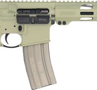 RUGER AR556 MPR 300 AAC MAGPUL - MOE GRIP & SL STOCK 16.1"