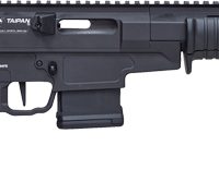 CITADEL TAIPAN 300BLK PUMP - 16.5" STEEL BBL THREADED 10RD