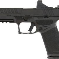 SPRINGFIELD ECHELON 9MM 4.5" - 17RD BLACK 5 MAGS GEAR UP 25
