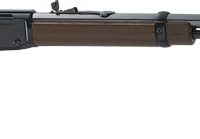 HENRY FRONTIER 22WMR - 24" THREADED OCTAGON BLUED