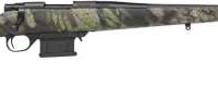 HOWA CARBON STALKER - 223 REM 22" THREADED BBL