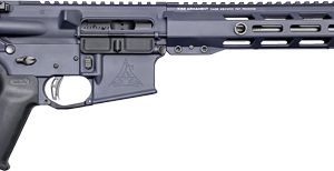 RISE WATCHMAN XR AR-15 RIFLE - 22 ARC 18" SNIPER GREY 10RD