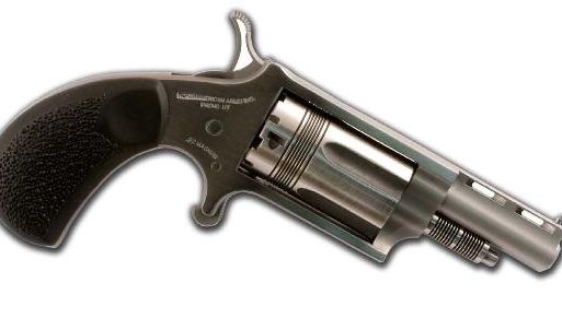 NORTH AMERICAN ARMS THE WASP 22MAG REV 1-5/8" SS