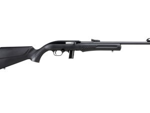 BRZ ROSSI RS22 22LR RFL 18B 10
