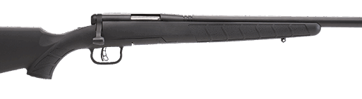 SAVAGE ARMS B.MAG 17WSM BL/SYN HVBBL 22"