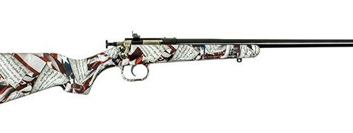 Keystone Crickett Rifle .22 LR Single Shot 16.125" Blued Barrel Synthetic Stock Amendment