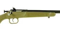 Crickett "My First Rifle" .22 LR 16" Barrel Synthetic Stock- Desert Tan