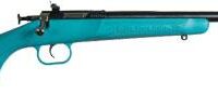 Crickett Blue Synthetic Stock Rifle .22LR Single Shot 16.125" Blued Barrel