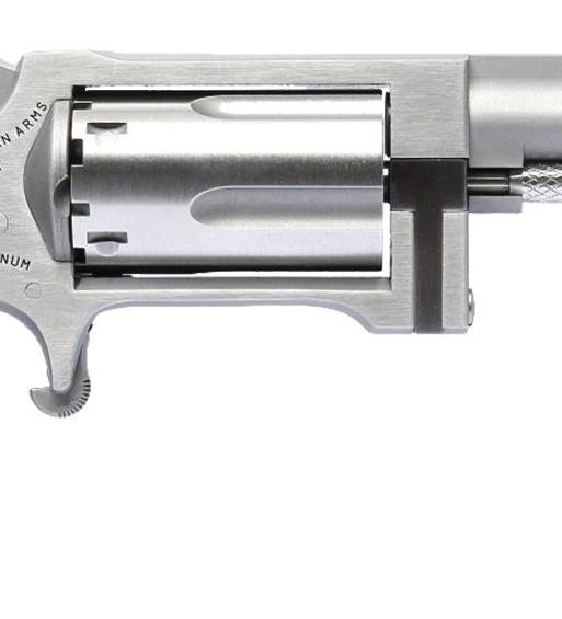NAA SIDEWINDER 2.5" BRL 22M/22LR MINI REV