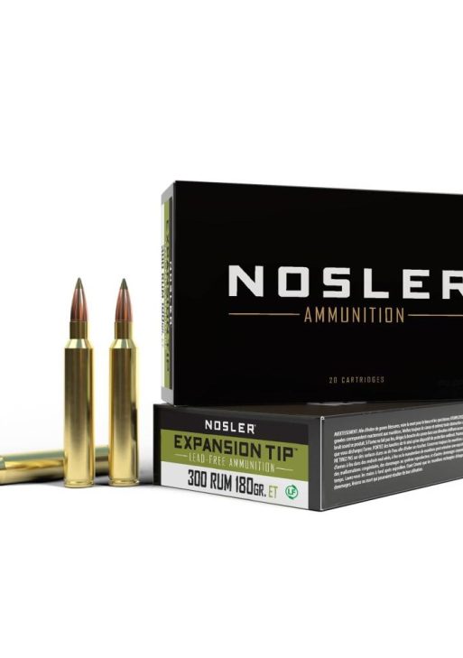 300 RUM 180gr E-Tip (20 ct.) Ammunition