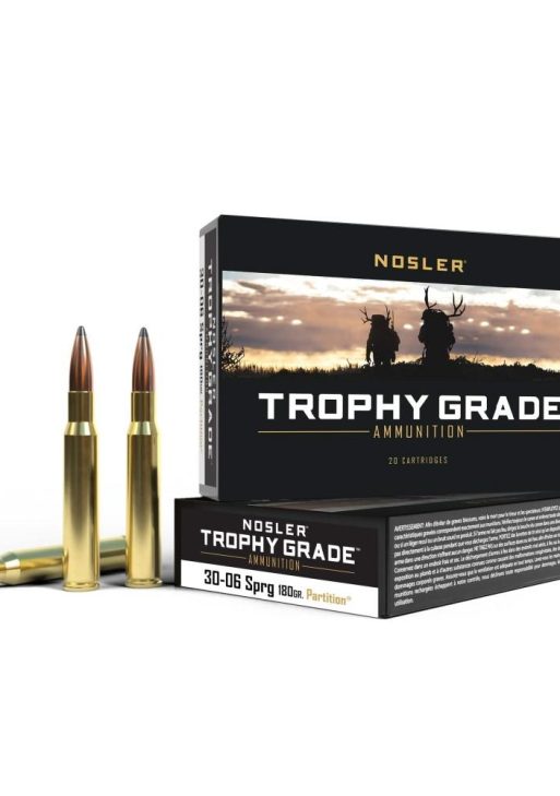 30-06 Springfield 180gr Partition (20 ct.) Ammunition