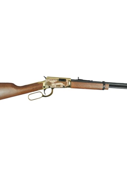 Rossi Rio Bravo "Wild Bill Hickok" Lever Action Rifle 22 LR 15rd Capacity 18" Barrel Gold Finish/Hardwood Stock