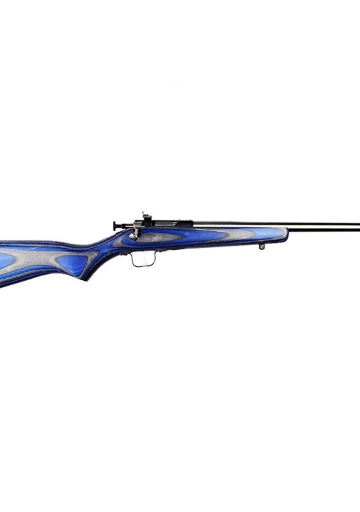 KEYSTONE SPORTING ARMS CRICKETT 22LR SS/BLUE LAM