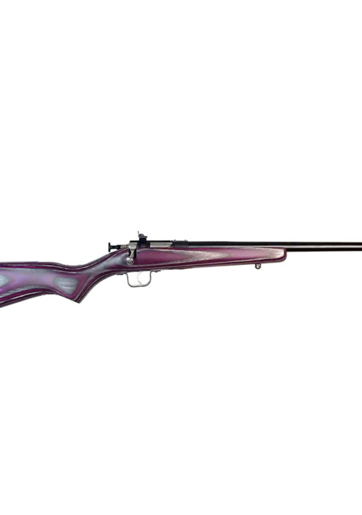KEYSTONE SPORTING ARMS CRICKETT 22LR BL/PURPLE LAM
