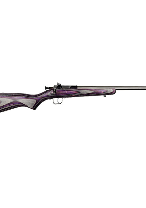 KEYSTONE SPORTING ARMS CRICKETT 22LR SS/PURPLE LAM
