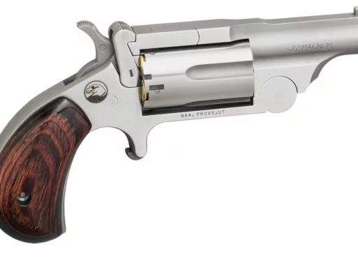 NORTH AMERICAN ARMS RANGER II 22MAG 1-5/8" SS