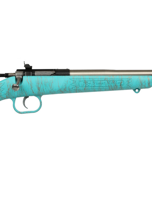 KEYSTONE SPORTING ARMS CRICKETT 22LR SS BLUE/GOLD WEB