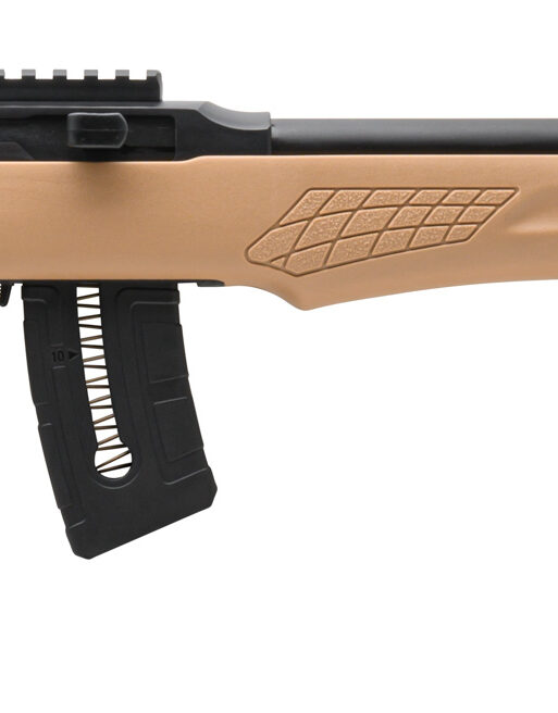 ROSSI RS22 22MAG BLK/TAN 21" 10+1