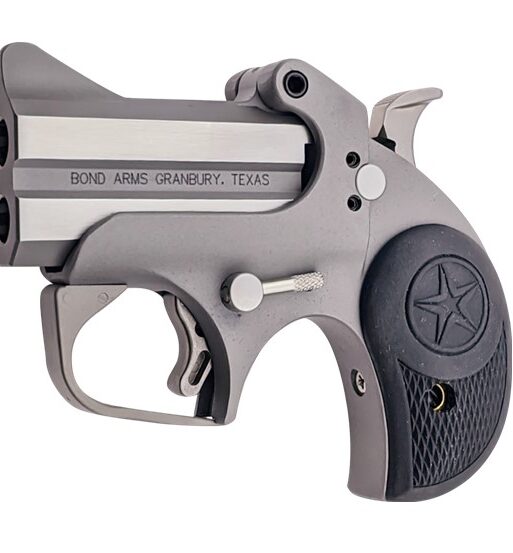 BOND ARMS ROUGHNECK 45ACP SS 2.5" FS