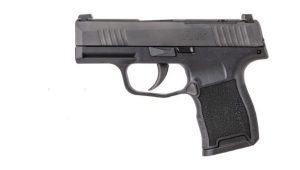 SIG SAUER P365 380ACP BLK 10+1 NS