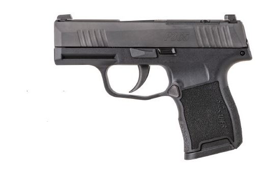 SIG SAUER P365 380ACP BLK 10+1 NS
