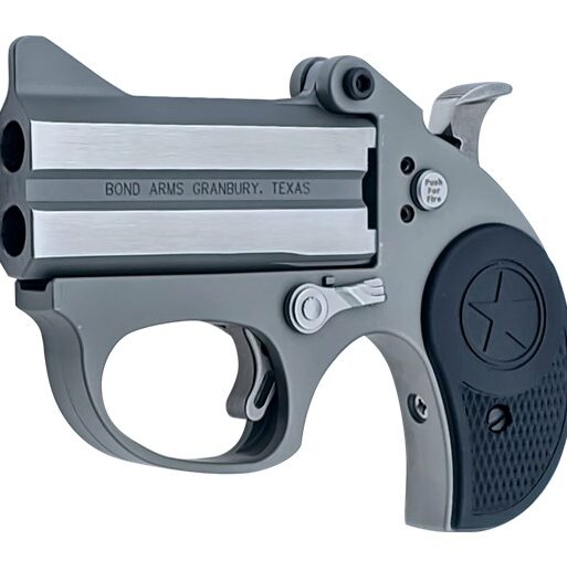 BOND ARMS STINGER 38SPC SS 3" FS