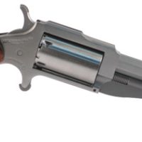 NORTH AMERICAN ARMS THE EARL 22MAG 3" SS 5SH