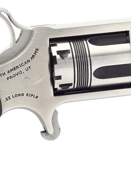 NORTH AMERICAN ARMS THE WASP 22LR REV 1-1/8" SS