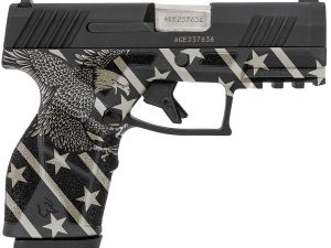 Taurus 1-GX2931-EN1 GX2  Compact Frame 9mm Luger 13+1 3.38" Stainless Steel Barrel, Matte Black Serrated Alloy Steel Slide, Black w/Eagle, Stars & Stripes Polymer Frame w/Accessory Rail