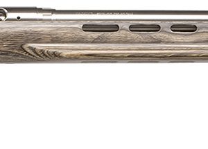Savage Arms 18614 12 Benchrest Full Size 6mm BR 1rd 29" Matte Stainless Button Rifled Barrel &  Drilled & Tapped Receiver, Gray Fixed Laminate Stock, Right Hand