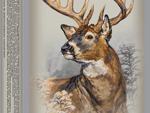 Winchester Ammo X223WSS1 Power-Point  223WSSM 64gr 20 Per Box/10 Case